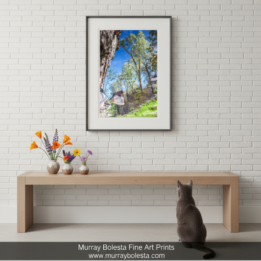 Arizona Canyon Creek Oasis Art Print | Abstract Water Reflection Photo by Murray Bolesta!