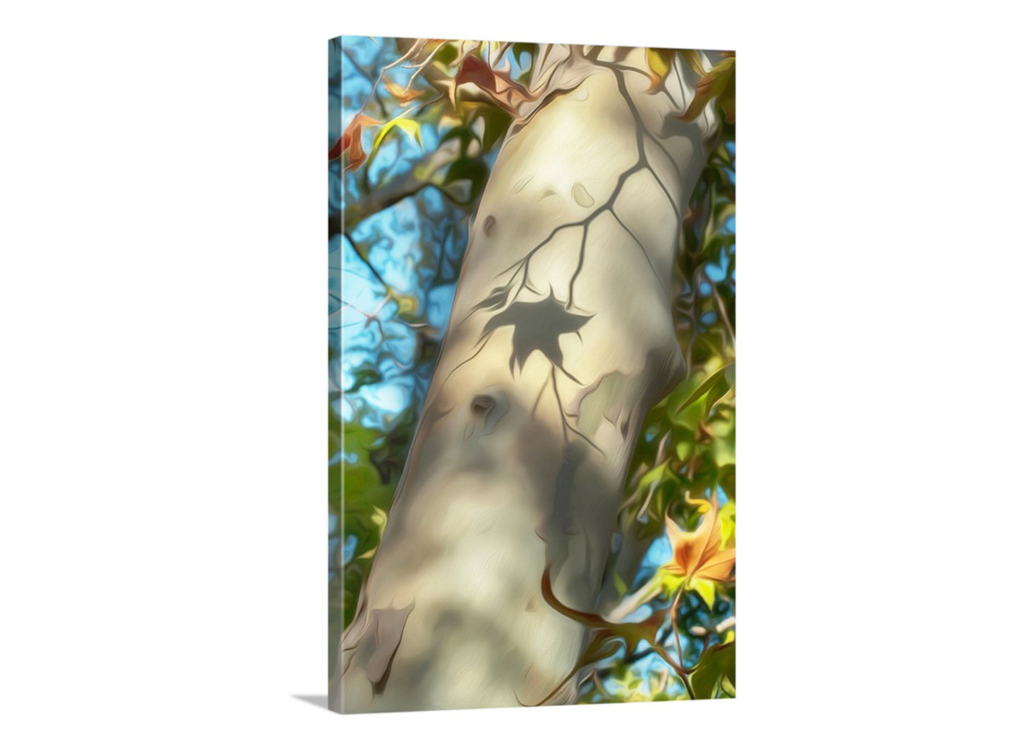 Canvas print of a tree trunk with leaf cutouts against a natural background. Sycamore Tree Leaf Bark | Madera Canyon AZ Autumn Nature Art