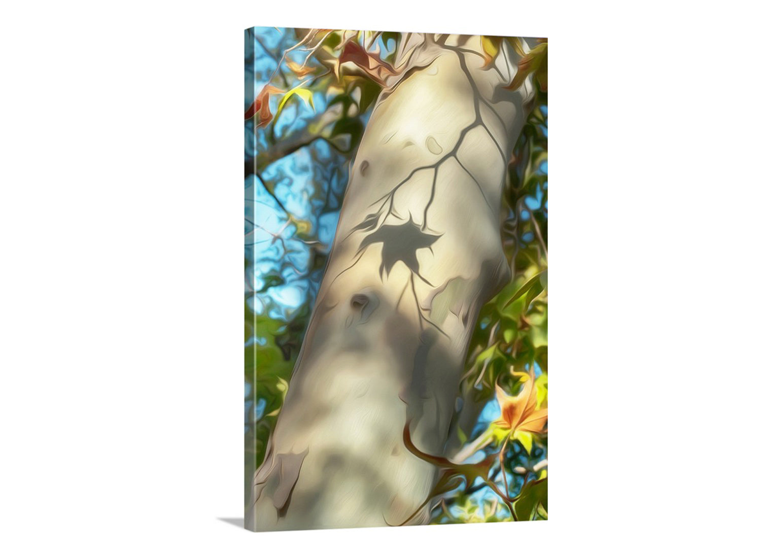 Canvas print of a tree trunk with leaf cutouts against a natural background. Sycamore Tree Leaf Bark | Madera Canyon AZ Autumn Nature Art