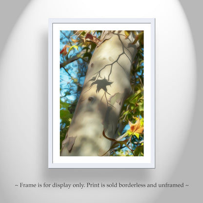 Arizona Sycamore Leaf & Bark | Madera Canyon Autumn Nature Print
