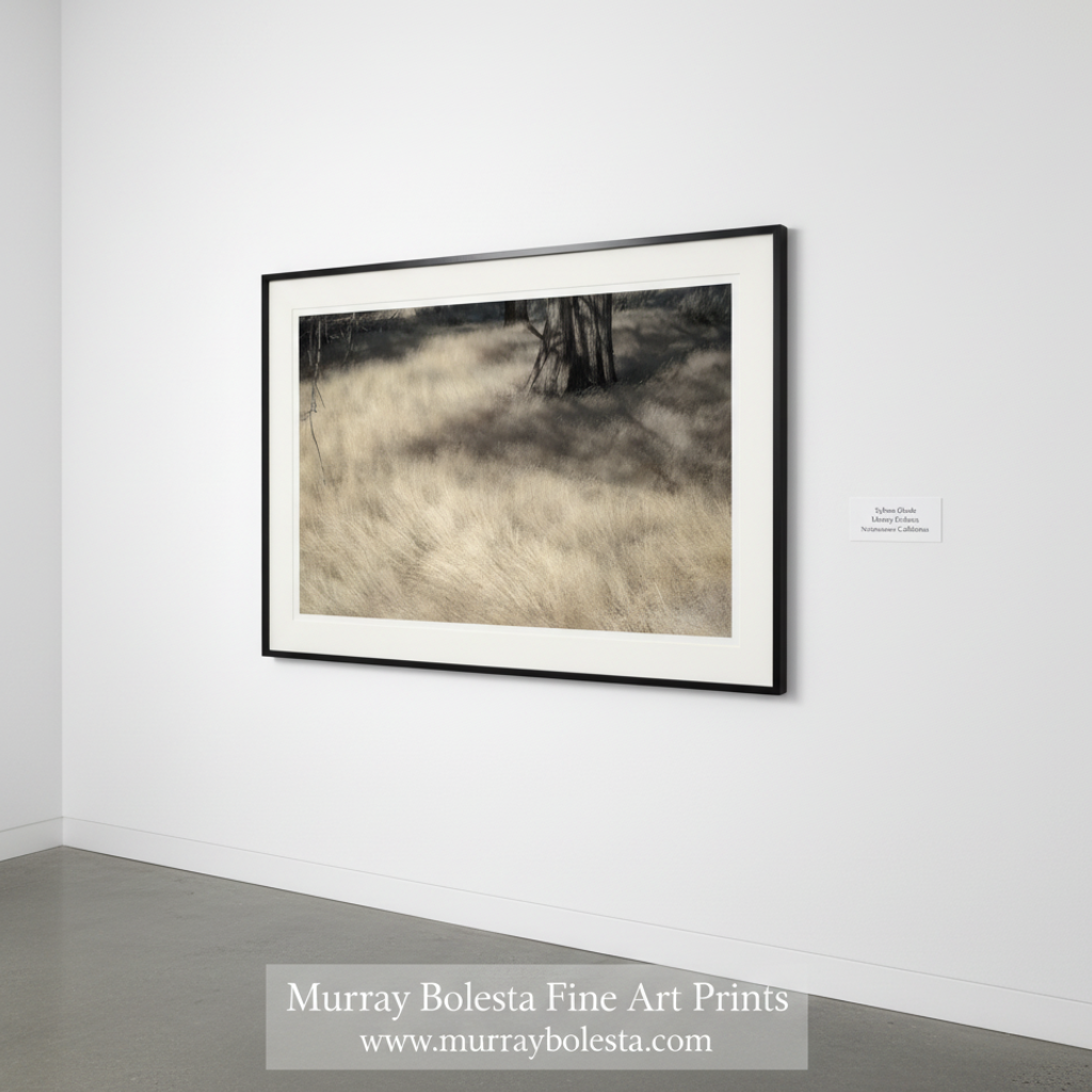 Forest Meadow Nature Photography | Northeastern California Wild Grass by Murray Bolesta