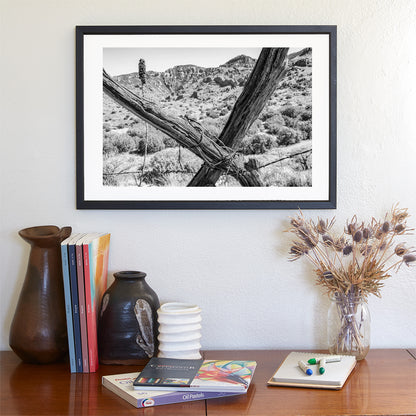 Muleshoe Ranch Arizona Landscape Art with Barbed Wire Fence | Southwest Wall Decor in Black & White