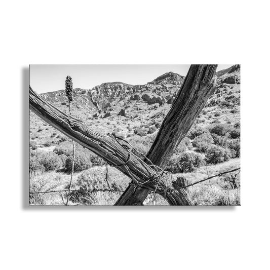 Muleshoe Ranch Landscape Photography with Barbed Wire Fence | Southwestern Wall Decor in Black & White
