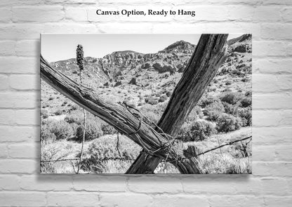 Muleshoe Ranch Arizona Landscape Art with Barbed Wire Fence | Southwest Wall Decor in Black & White