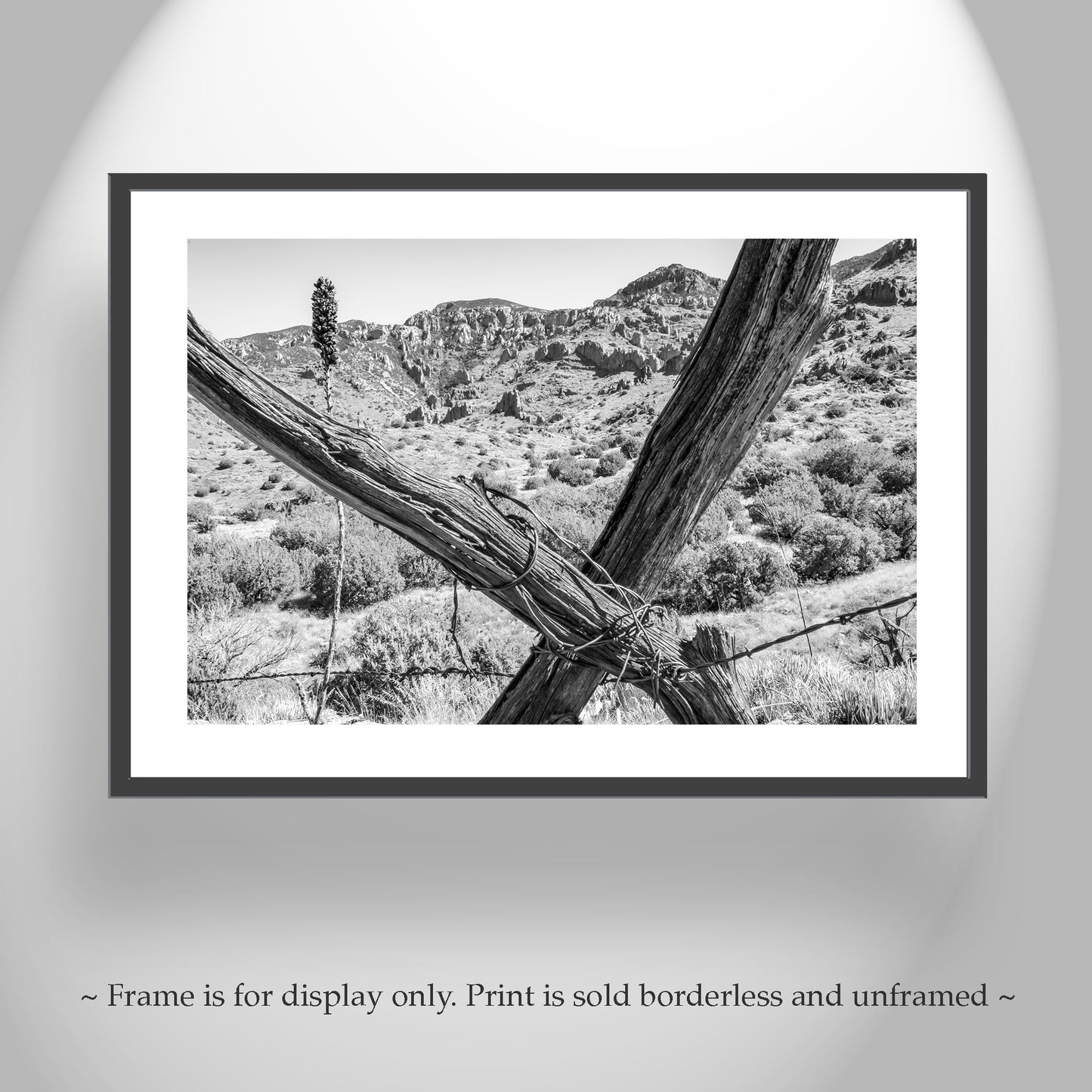 Muleshoe Ranch Arizona Landscape Art with Barbed Wire Fence | Southwest Wall Decor in Black & White