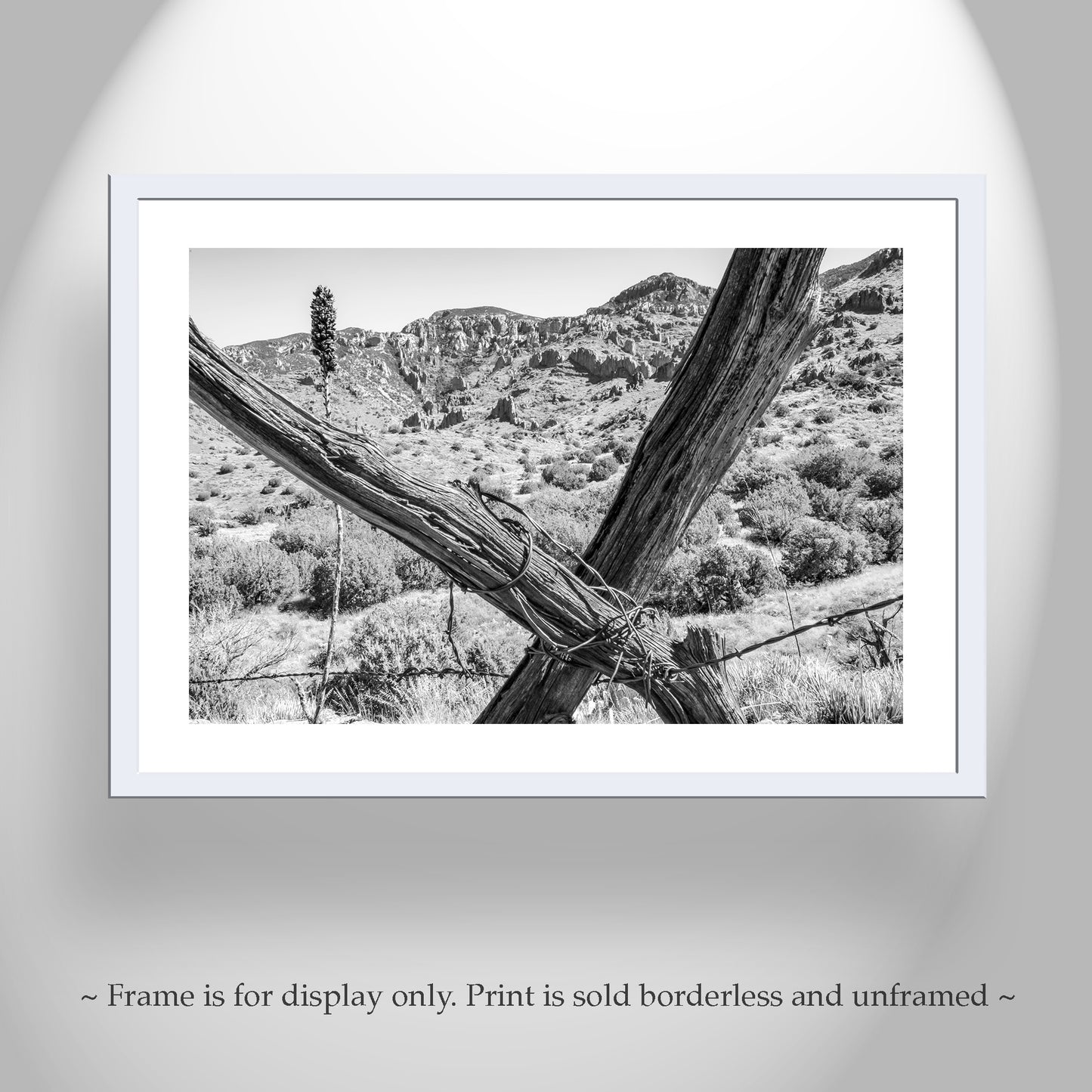 Muleshoe Ranch Arizona Landscape Art with Barbed Wire Fence | Southwest Wall Decor in Black & White