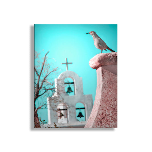 Surreal Bird Art with San Xavier Mission Chapel Tucson Arizona