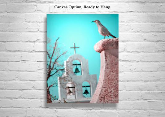 Surreal Bird Art with San Xavier Mission Chapel Tucson Arizona