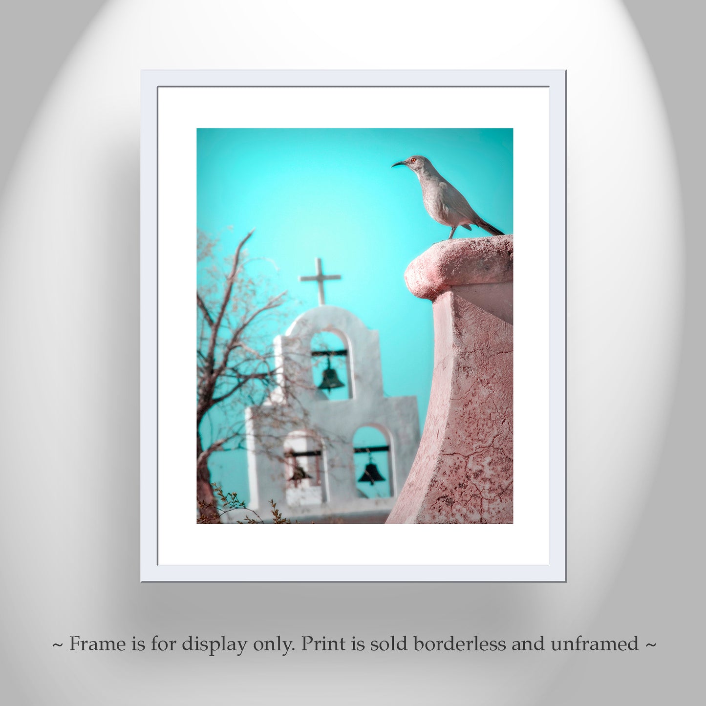 Surreal Bird Art with San Xavier Mission Chapel Tucson Arizona