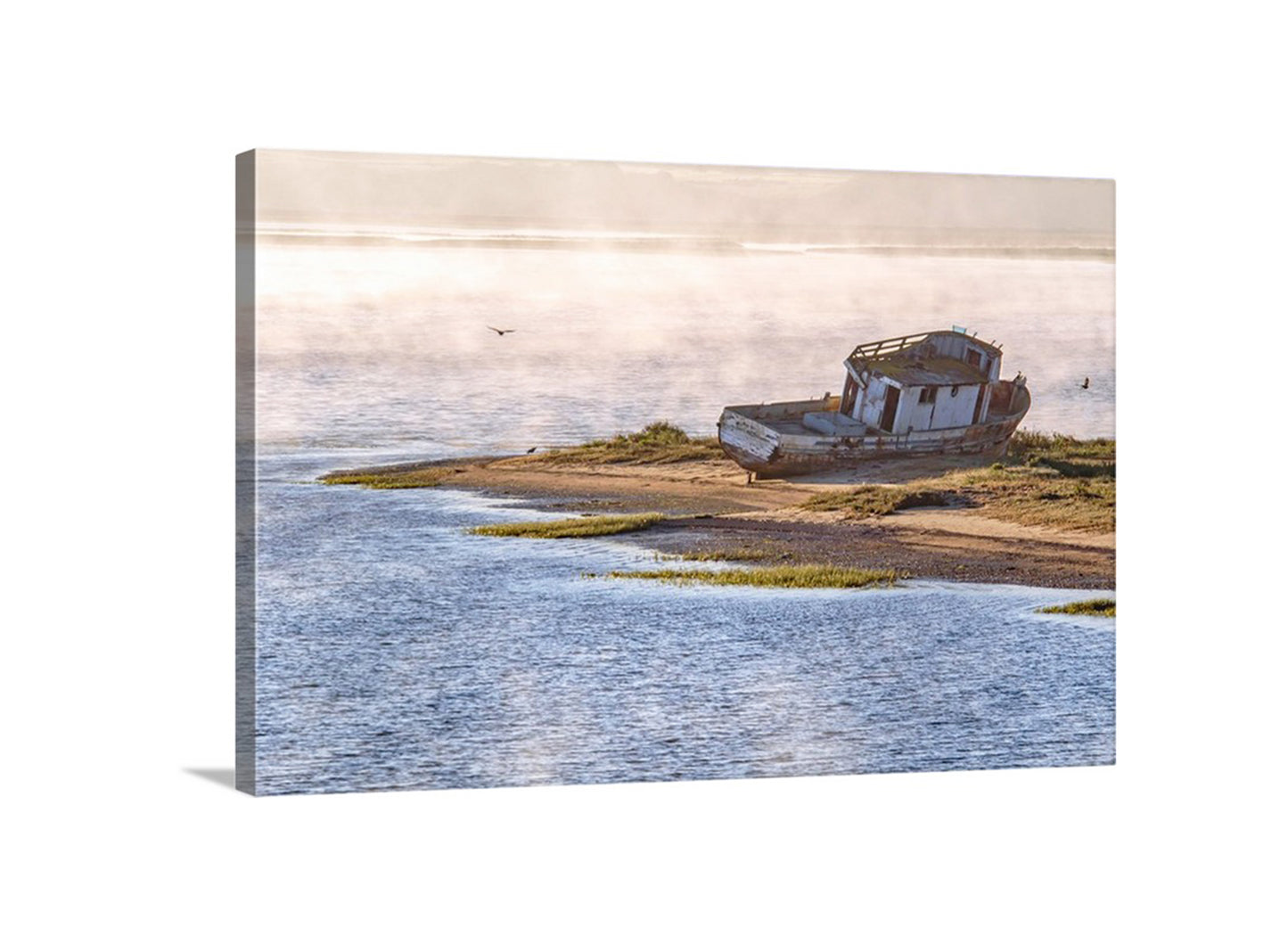 Tomales Bay Point Reyes Shipwreck Picture as Wall Art Gift for Home or Office