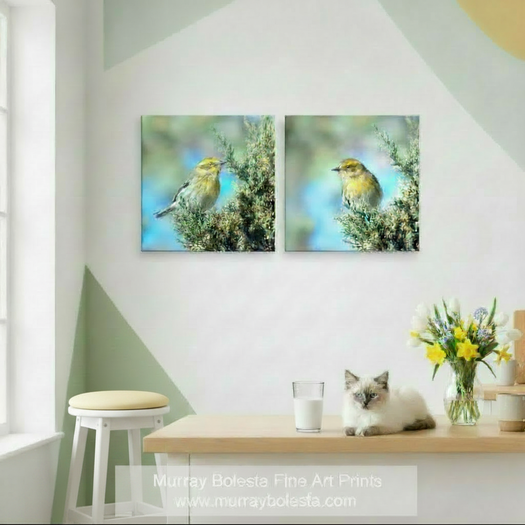 The image is a collage of two photographs featuring a yellow bird perched on a branch. Yellow Warbler Bird Art | Matched Set of 2 Square Framed Prints by Murray Bolesta