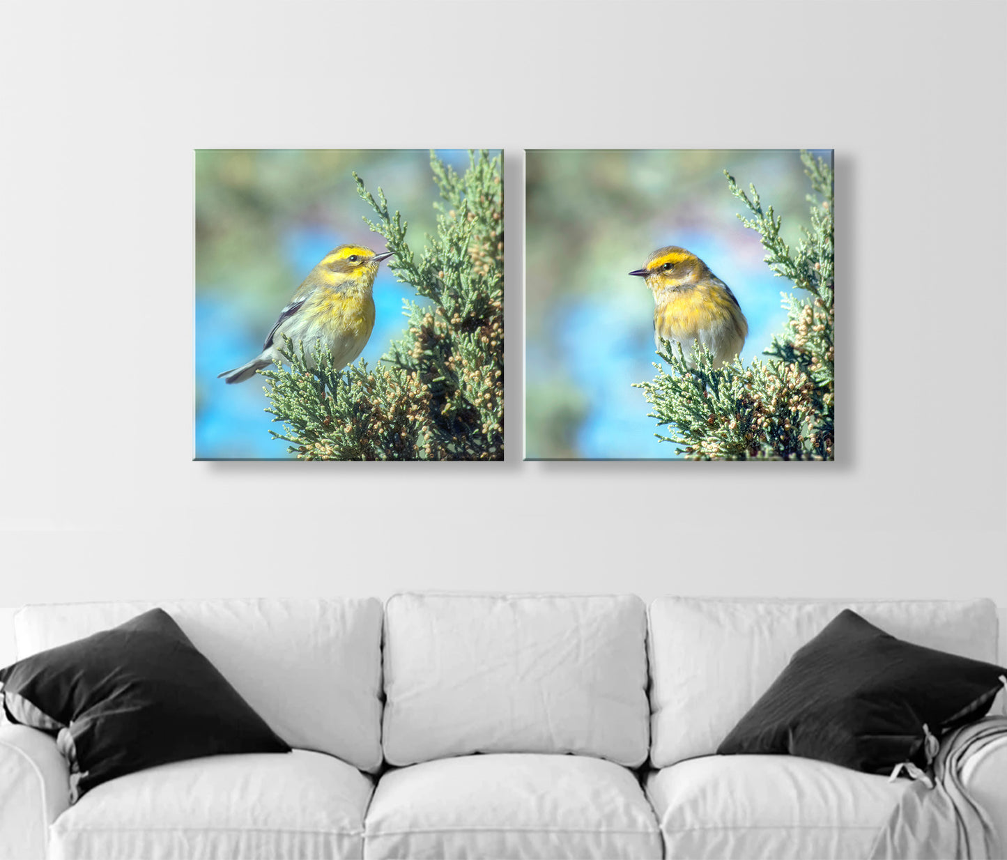 Yellow Warbler Bird Art in Matched Set of 2 Square Prints
