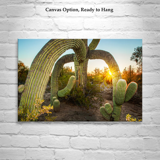 Desert Southwest Wall Art in Tucson Arizona with Saguaro Cactus Sunrise