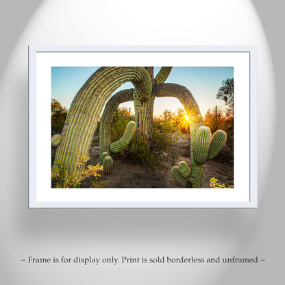 Desert Southwest Wall Art in Tucson Arizona with Saguaro Cactus Sunrise
