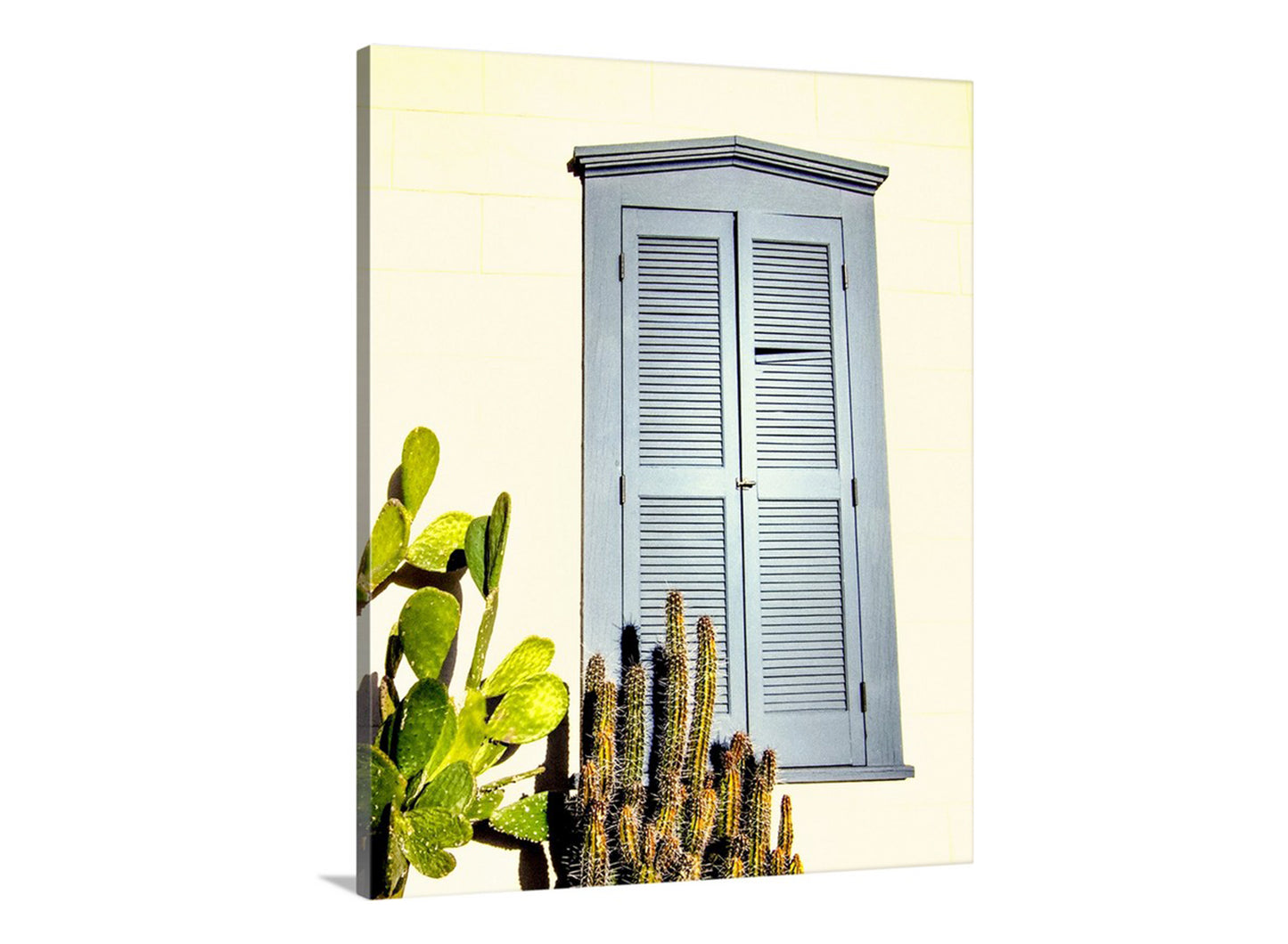 Canvas print of a window with shutters and cacti on a light background. Blue Shutter Architecture Print in Southwestern Style with Desert Cactus