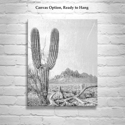 Cactus Art Print in Black and White | Tucson Arizona Landscape | Desert Botanical Art Gift