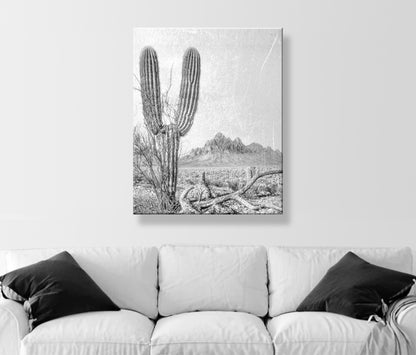 Cactus Art Print in Black and White | Tucson Arizona Landscape | Desert Botanical Art Gift