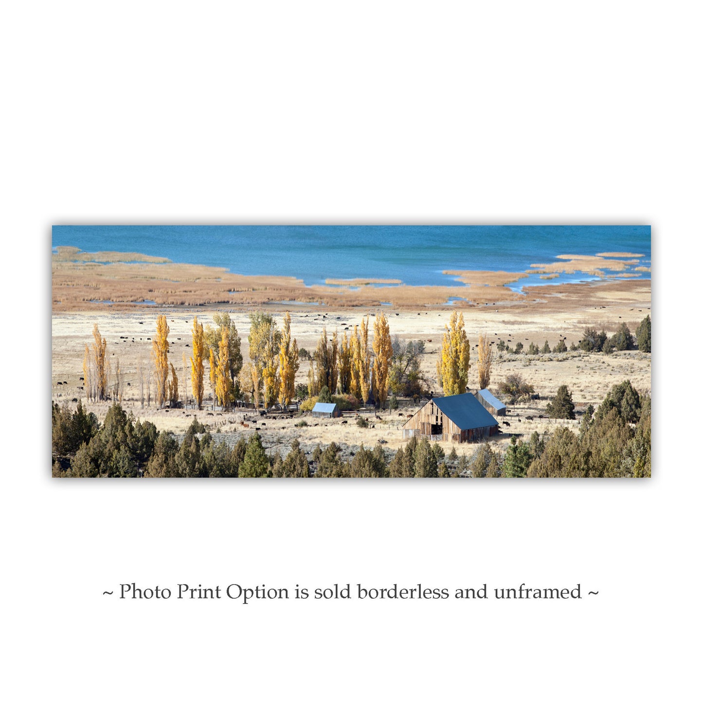 Western Ranch Panoramic Autumn Art | Northeast California Landscape