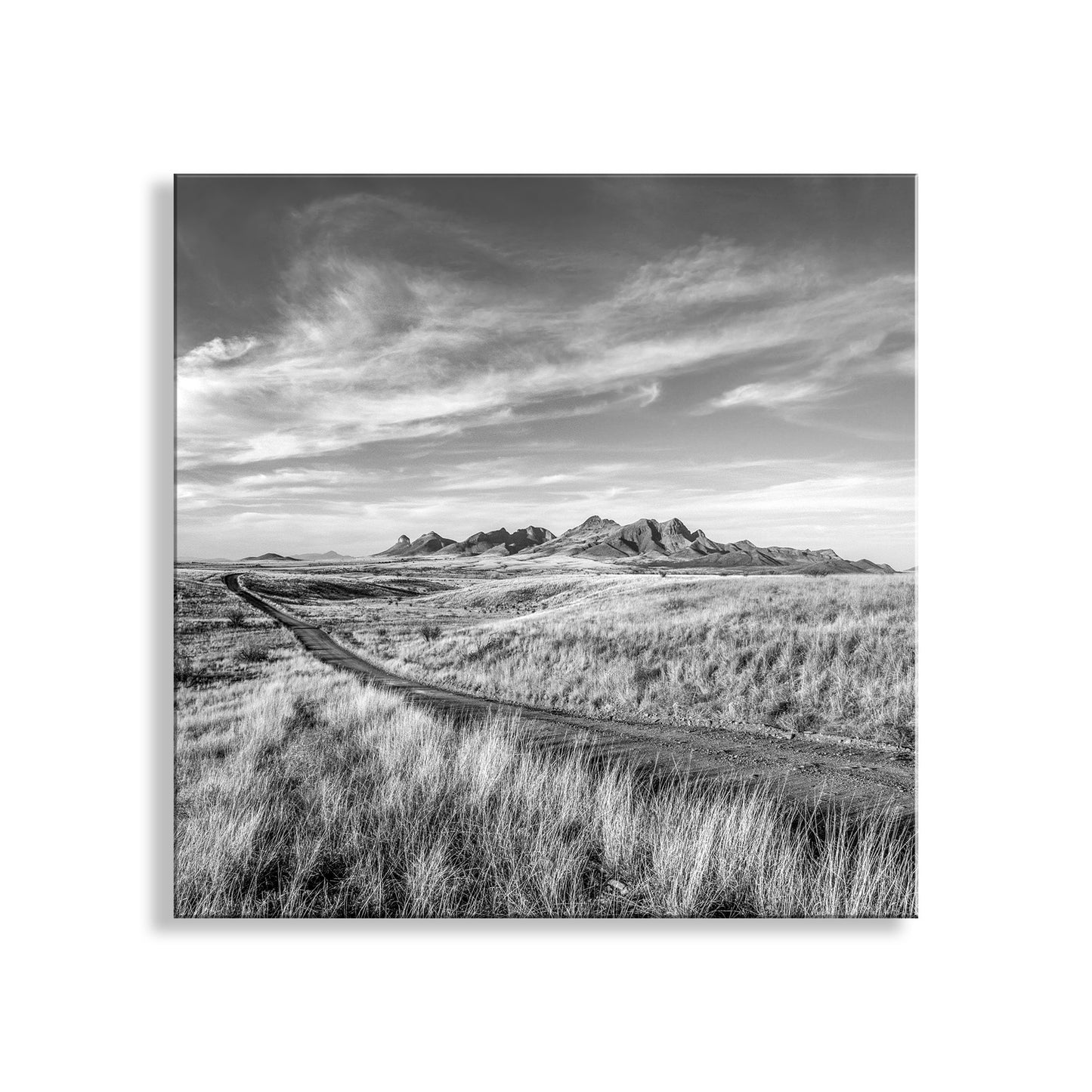 Arizona Country Roads Landscape Art in Black & White on Square Print