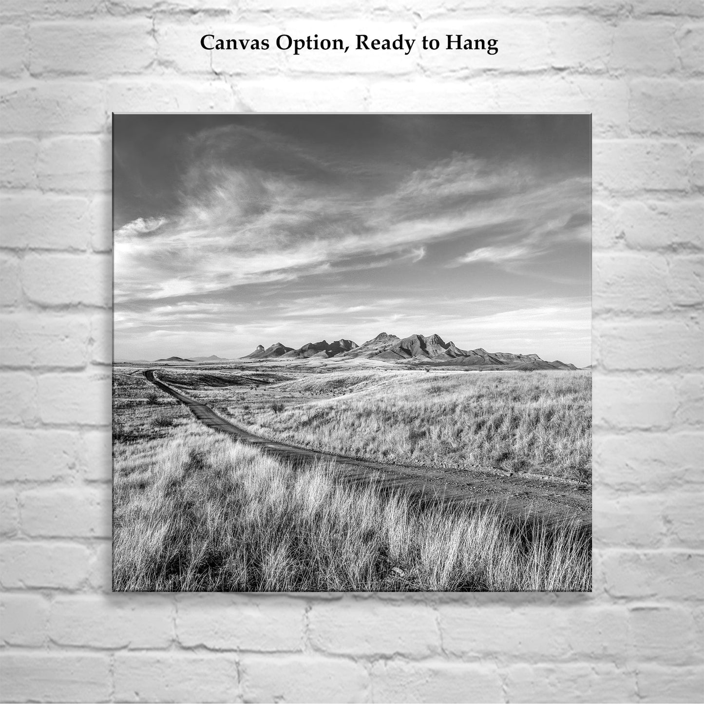 Arizona Country Roads Landscape Art in Black & White on Square Print