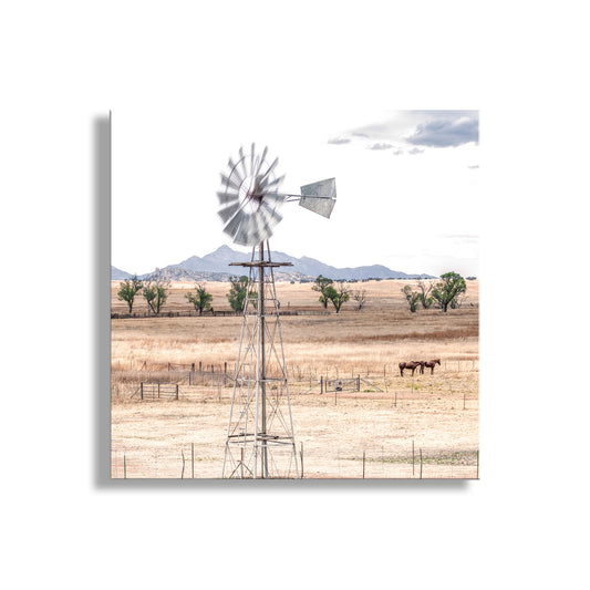 Windmill in a field with horses and mountains in the background. Western Horse Ranch Landscape Art with Windmill & Santa Rita Mountains