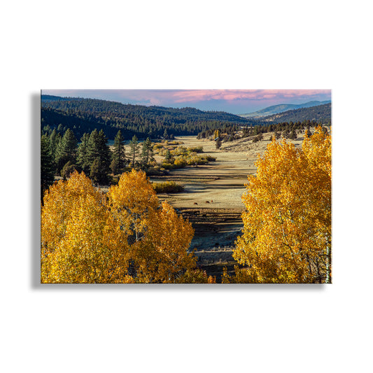 Autumn landscape with yellow trees and a valley. Quaking Aspen Western Landscape Art Print on Framed Canvas | Fall Photography