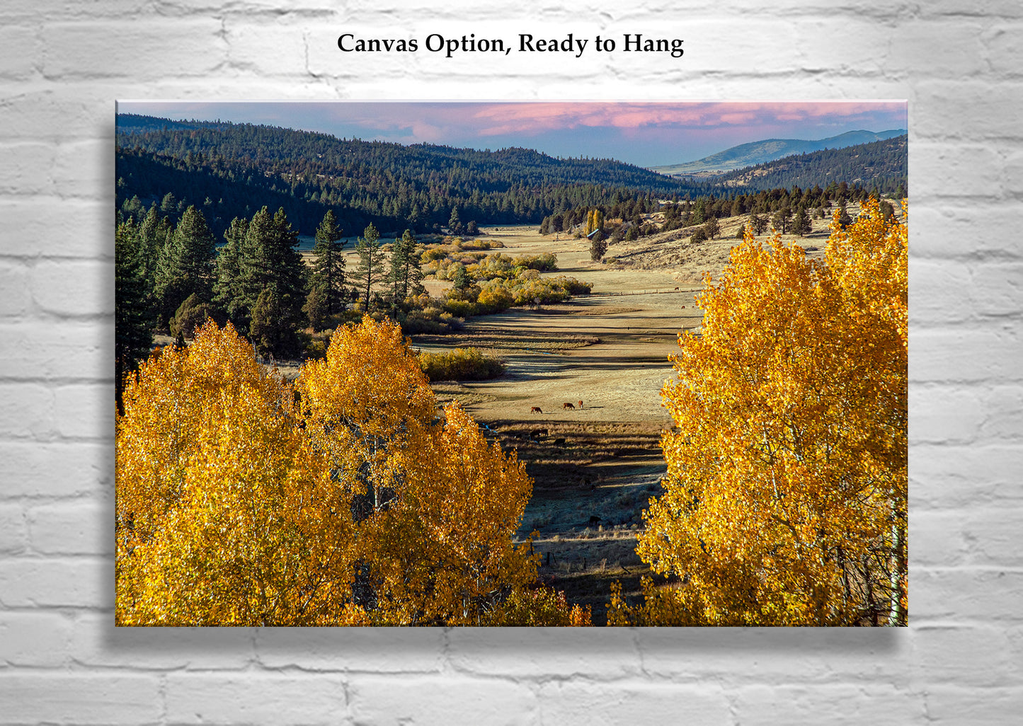 Quaking Aspen Western Landscape Art Print on Framed Canvas | Fall Photography
