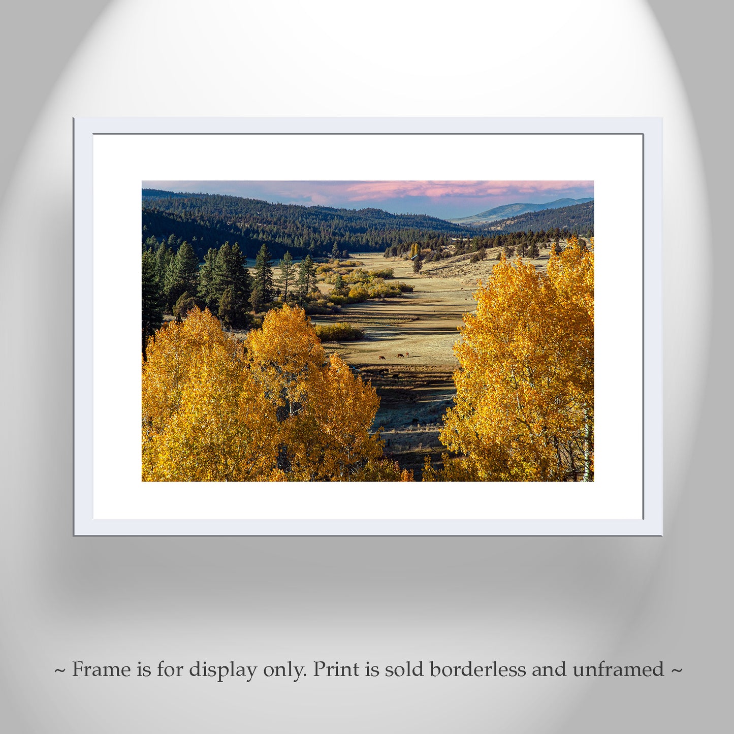 Quaking Aspen Western Landscape Art Print on Framed Canvas | Fall Photography