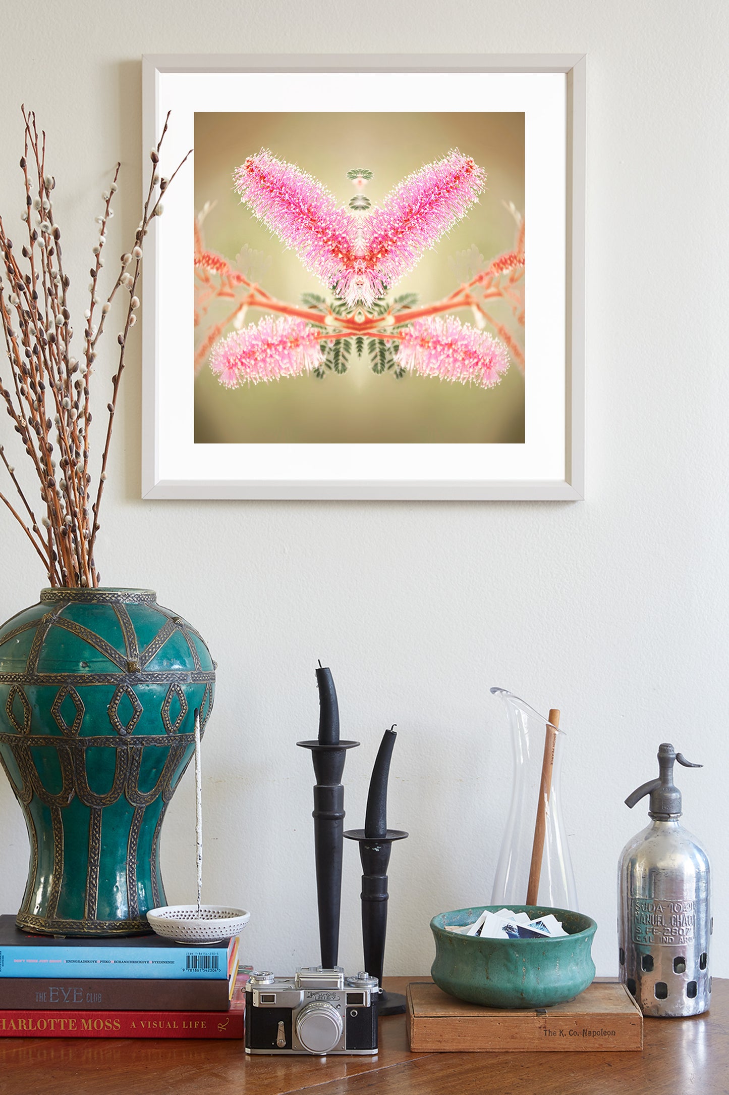 Abstract Nature Photography with Velvet Pod Mimosa Flower