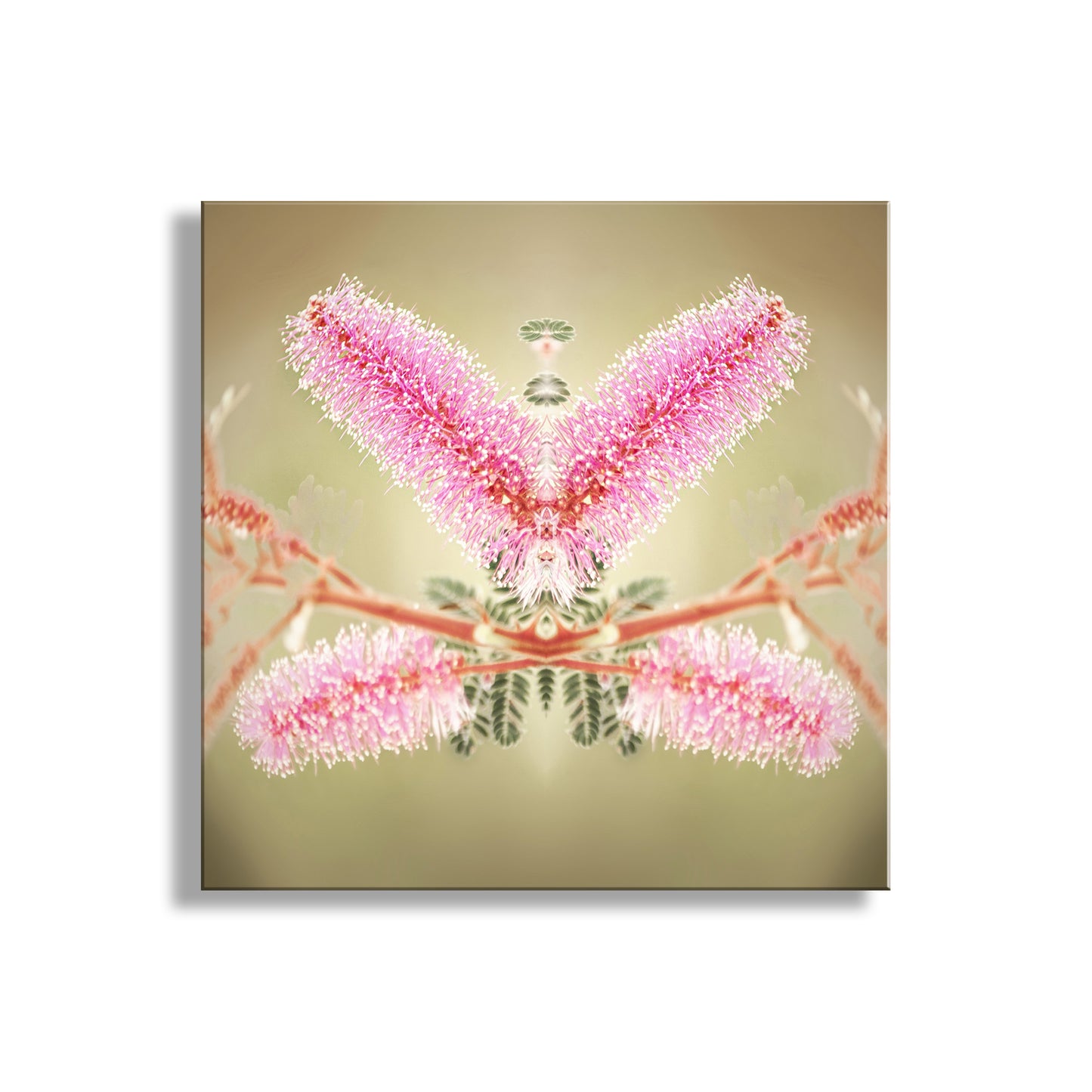 Framed artwork of a pink butterfly on a beige background. Abstract Nature Photography with Velvet Pod Mimosa Flower