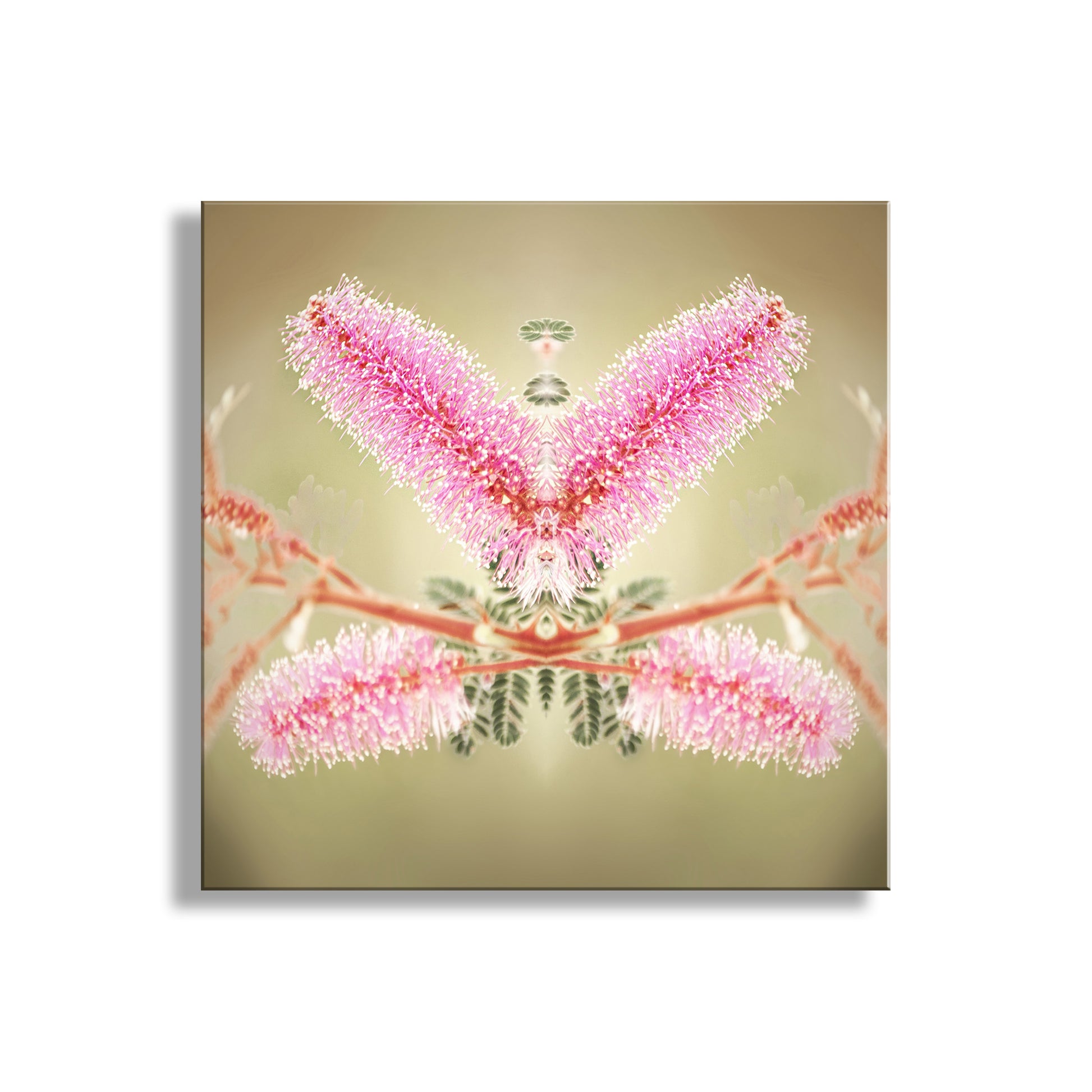 Framed artwork of a pink butterfly on a beige background. Abstract Nature Photography with Velvet Pod Mimosa Flower