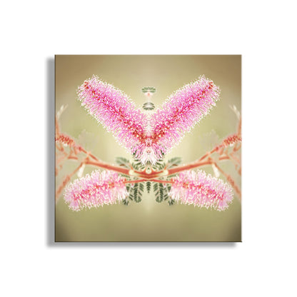Framed artwork of a pink butterfly on a beige background. Abstract Nature Photography with Velvet Pod Mimosa Flower