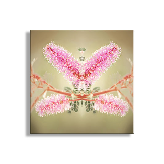Framed artwork of a pink butterfly on a beige background. Abstract Nature Photography with Velvet Pod Mimosa Flower