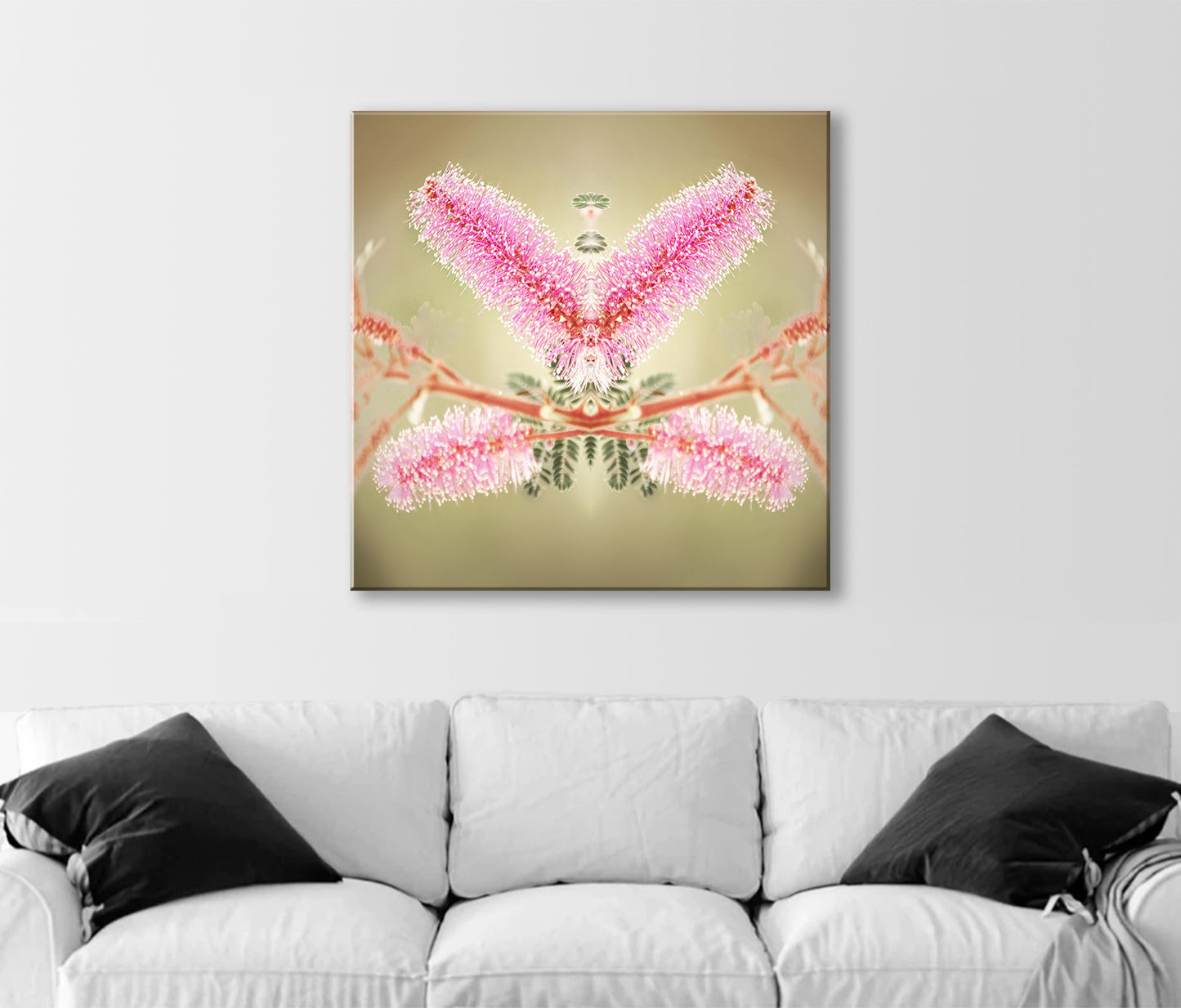 Abstract Nature Photography with Velvet Pod Mimosa Flower