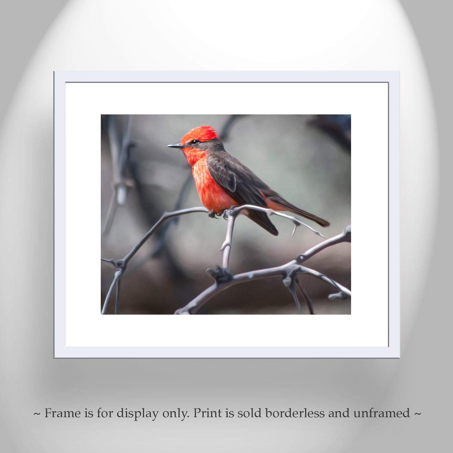 Vermilion Flycatcher Bird Art as Arizona Avian Wall Decor