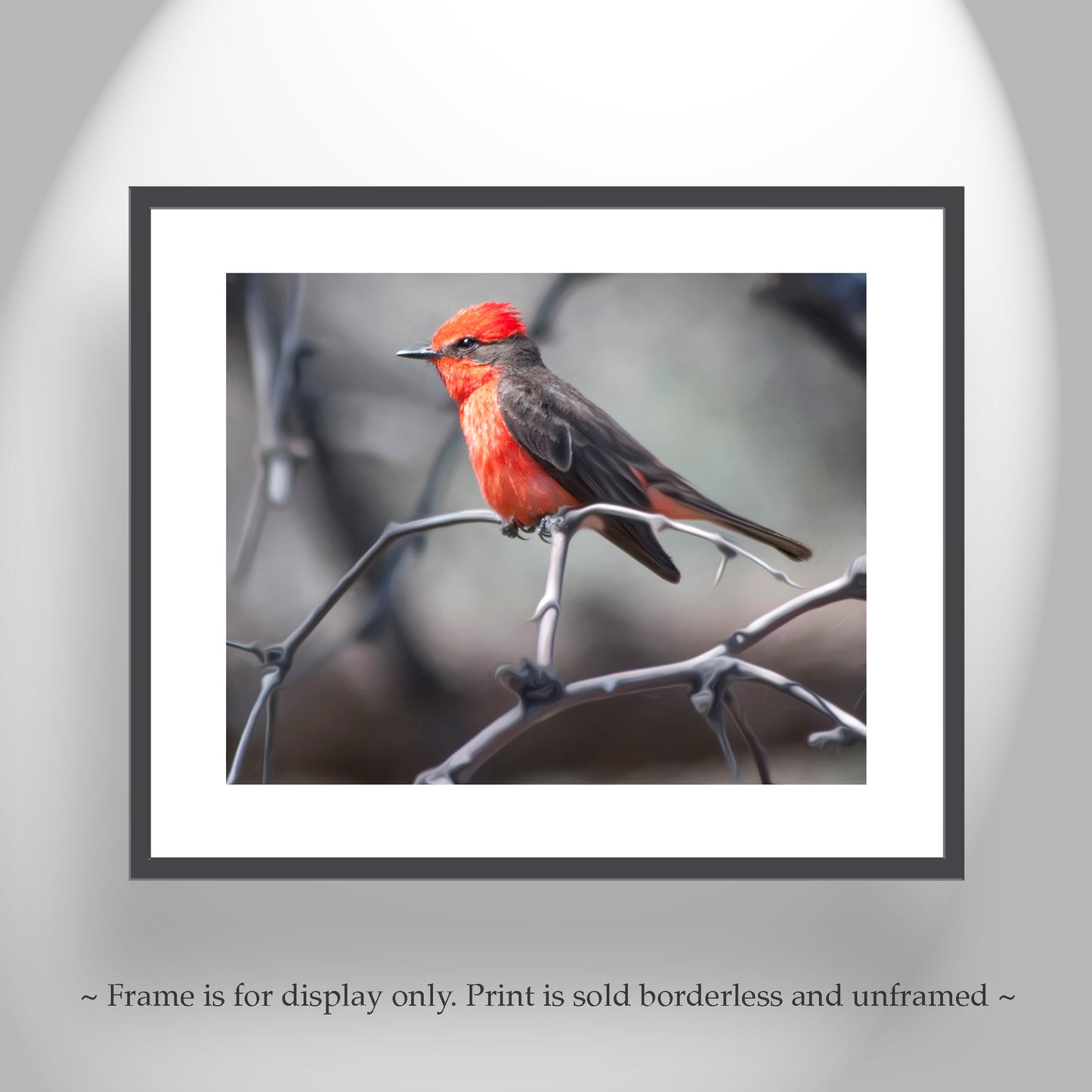 Vermilion Flycatcher Bird Art as Arizona Avian Wall Decor