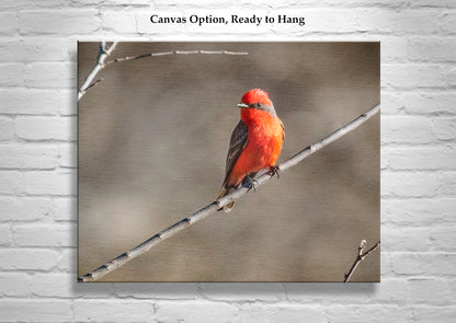 Vermilion Flycatcher Bird Art Print as Avian Wall Decor