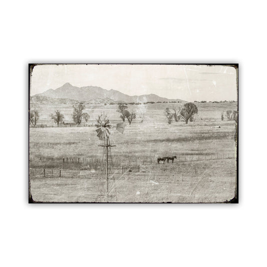 Vintage Santa Rita Mountain Arizona Horse Ranch Landscap | Rustic Equestrian Art Print | Western Art Gift