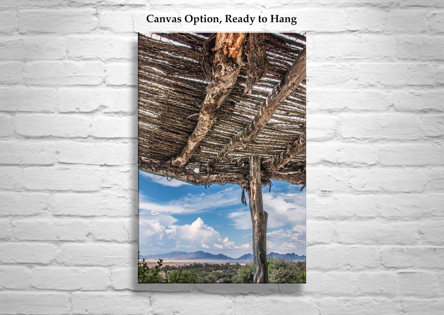 Tucson Arizona Landscape Art | Desert Ocotillo Ramada | Southwest Decor