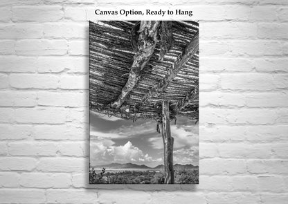 Tucson Arizona Landscape Art | Desert Ocotillo Ramada in Black & White