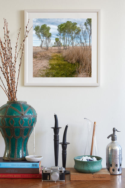 Arizona Landscape Photograph of San Rafael Valley Grasslands as Nature Lover Gift