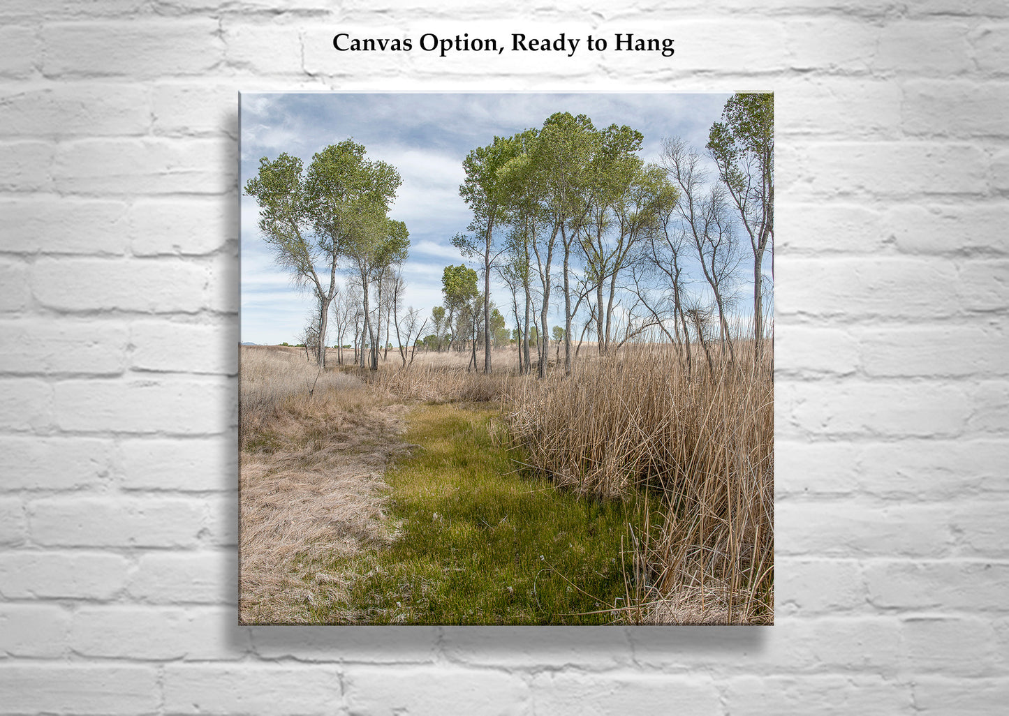 Arizona Landscape Photograph of San Rafael Valley Grasslands as Nature Lover Gift