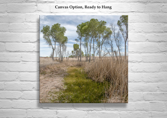 Arizona Landscape Photograph of San Rafael Valley Grasslands as Nature Lover Gift