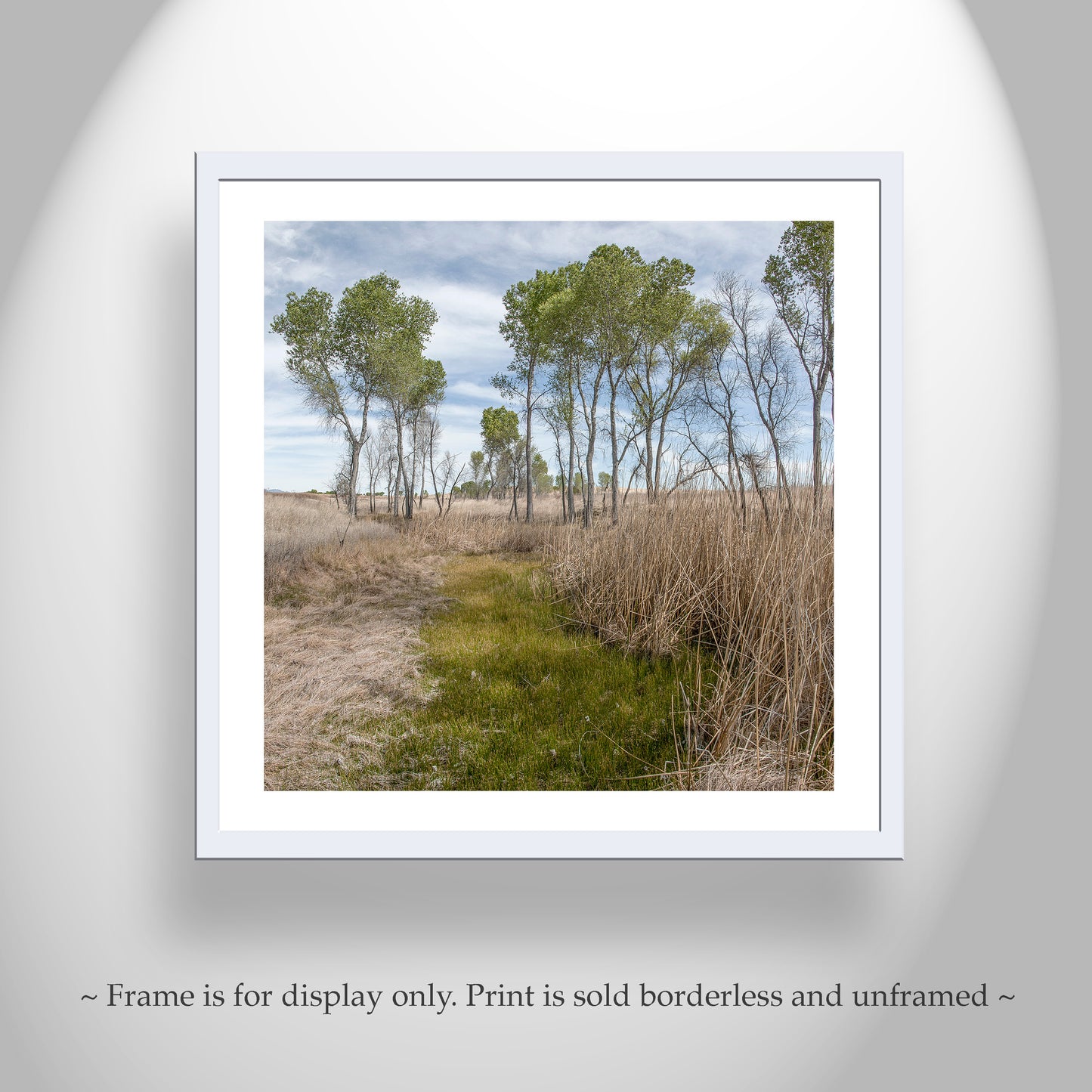 Arizona Landscape Photograph of San Rafael Valley Grasslands as Nature Lover Gift