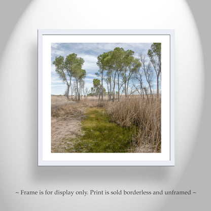 Arizona Landscape Photograph of San Rafael Valley Grasslands as Nature Lover Gift