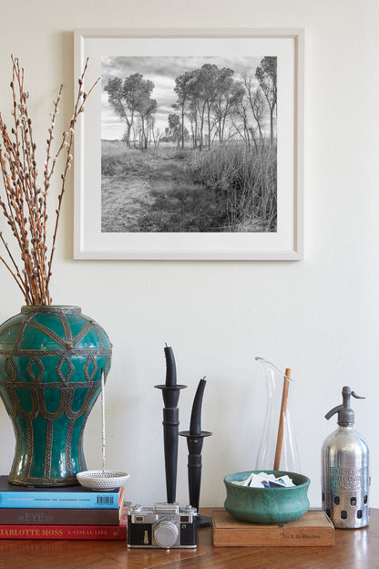 Black & White Landscape Artwork of Wild Southern Arizona Grasslands