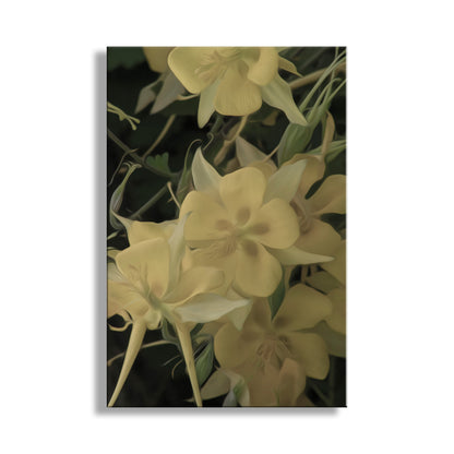 Columbine Flower Wall Decor in Arizona Desert Canyon