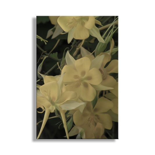 Columbine Flower Wall Decor in Arizona Desert Canyon