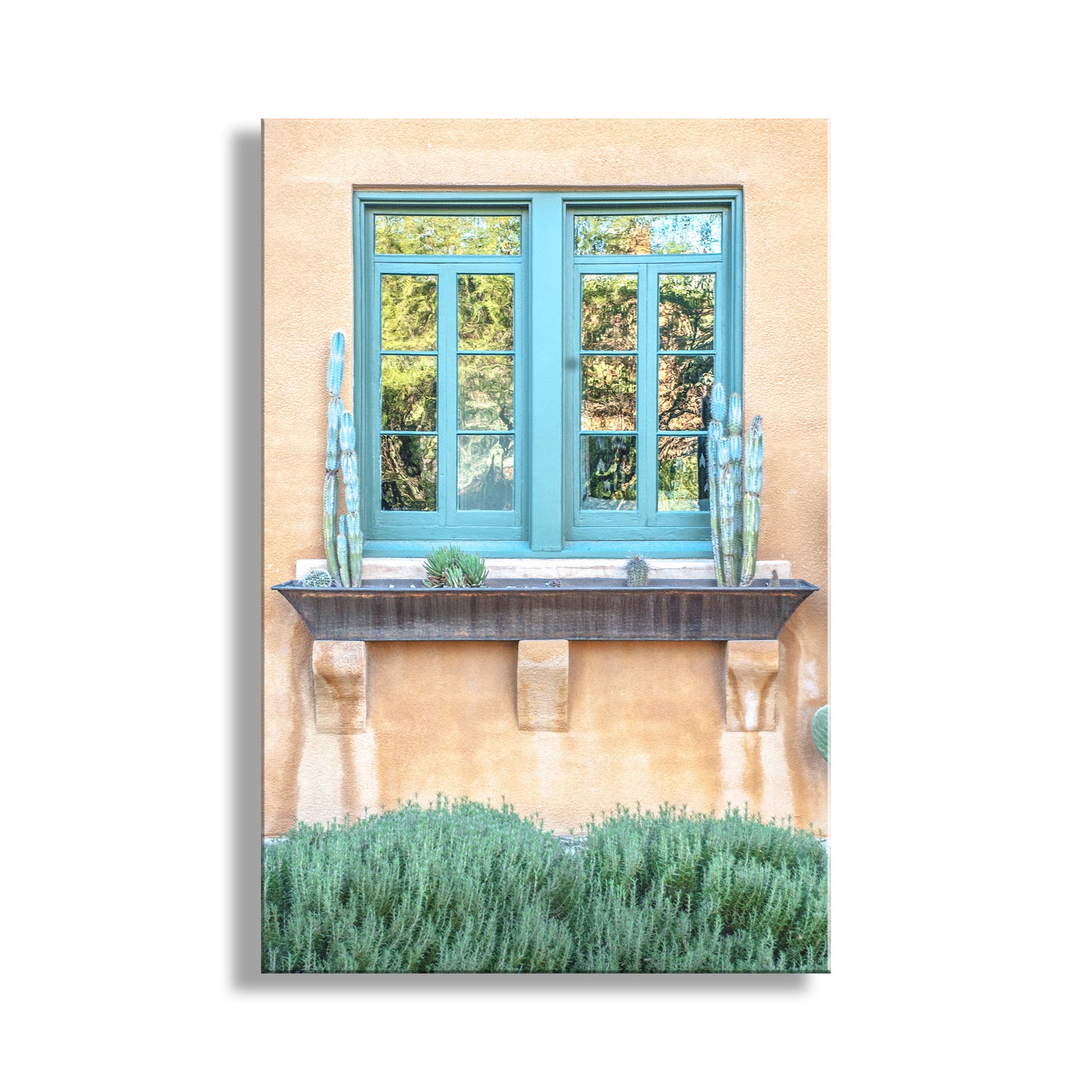 Blue window with decorative elements on a beige wall, with greenery at the bottom. Tucson Barrio Viejo Photograph as Southwest Architecture Art