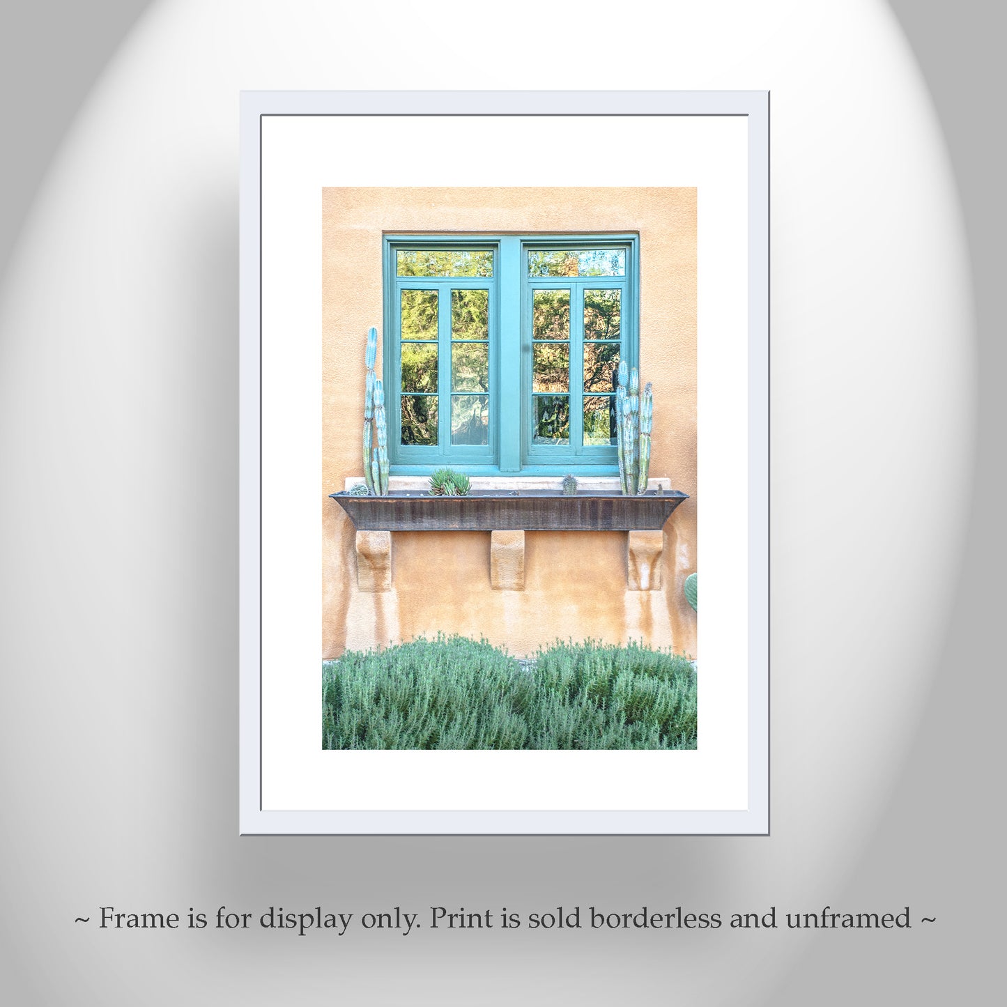 Tucson Barrio Viejo Photograph as Southwest Architecture Art